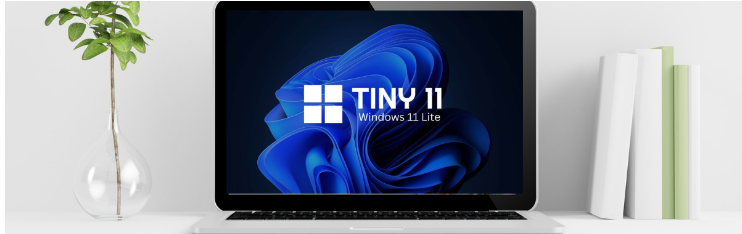 What is Tiny11? Is it safe to install?