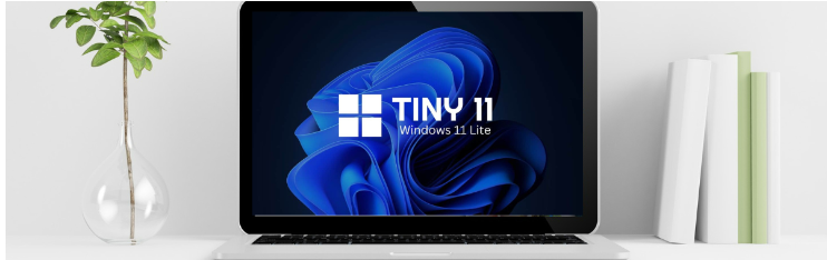 How to Install Windows 11 Lite Version on Your PC (Tiny11)